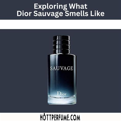 notes in dior sauvage|what does dior sauvage smell like.